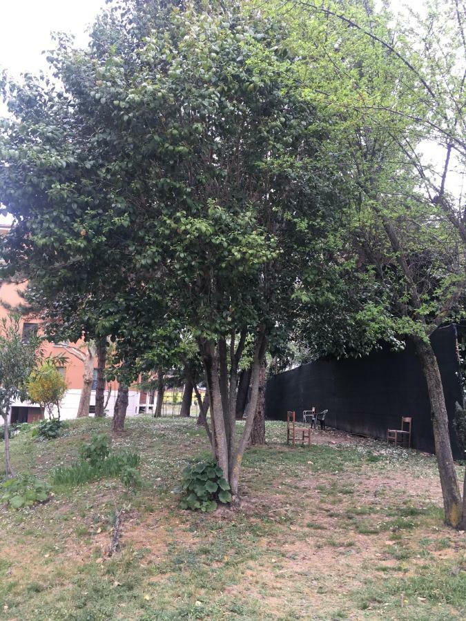 Tra S.Orsola E Fiera Apartment Bologna Ngoại thất bức ảnh